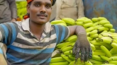 tic_portfolio_dvara_trust | Till It Clicks