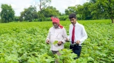 Agriseeds | Till It Clicks