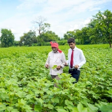 Agriseeds | Till It Clicks