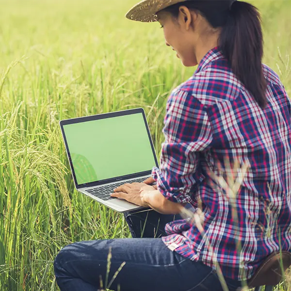 The Significance of Shopify Website Design for Agritech Businesses